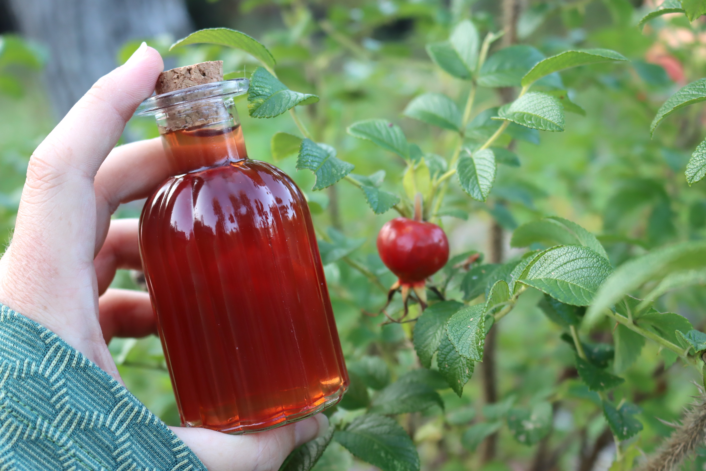 Rose Hip Syrup