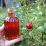 Rose Hip Syrup