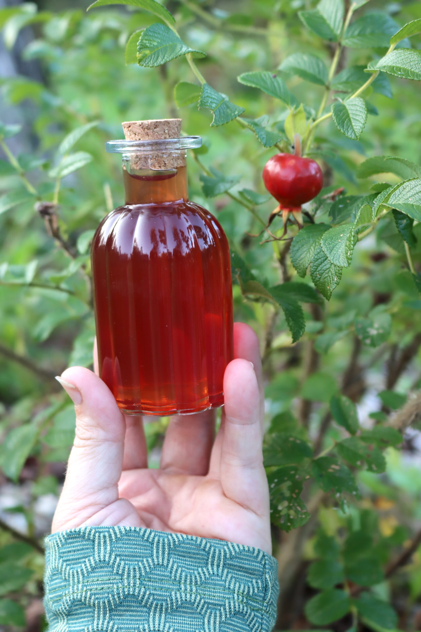 Rose Hip Syrup