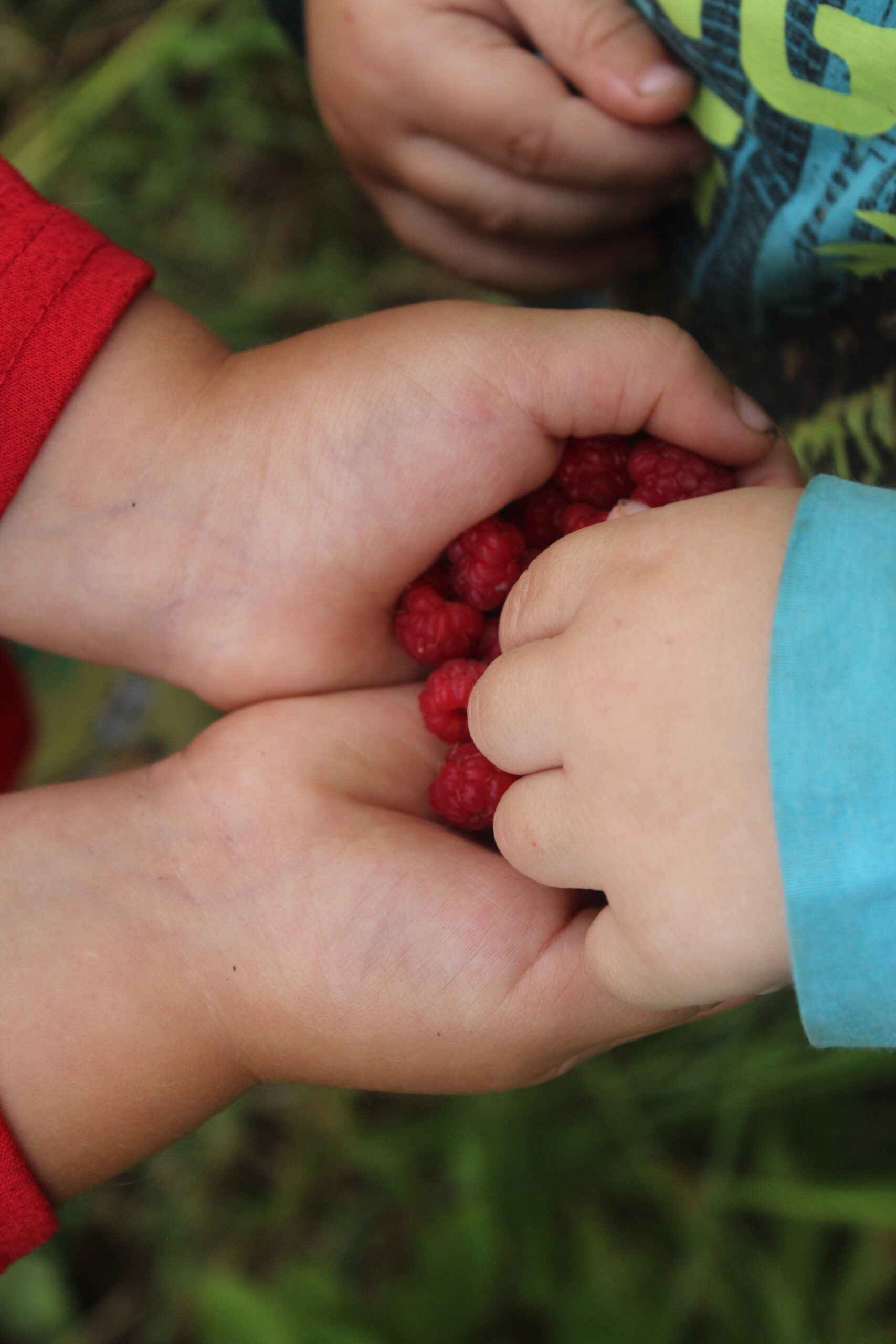 Sharing Wild Raspberries