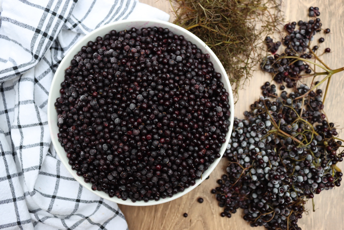 Stemming Frozen Elderberries