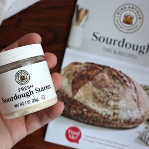King Arthur Flour Sourdough Starter