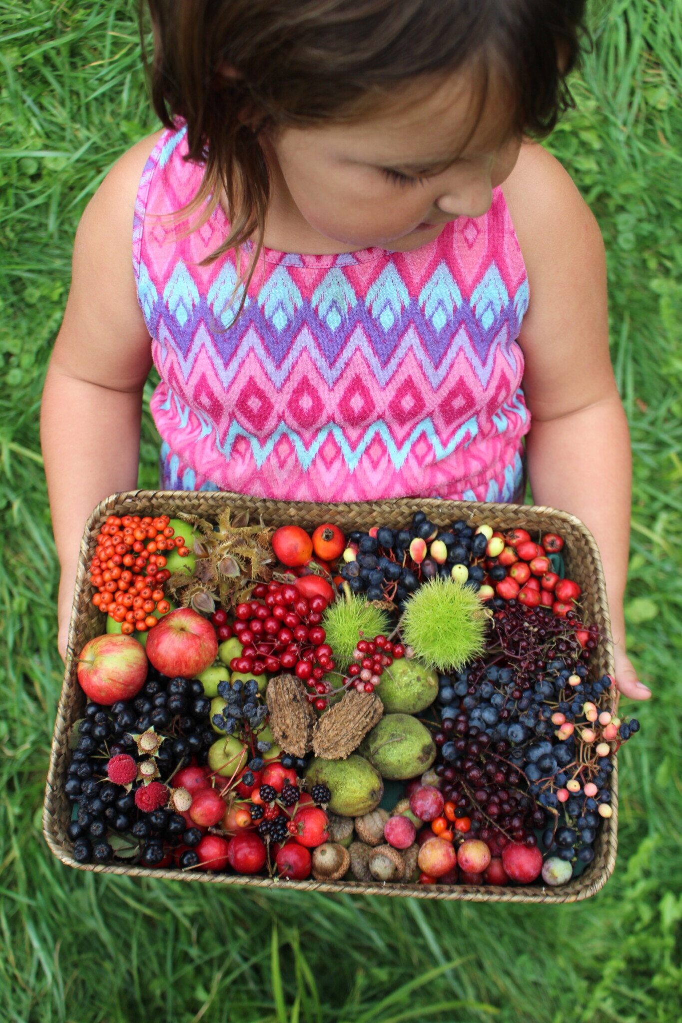 Child Foraging Fruit