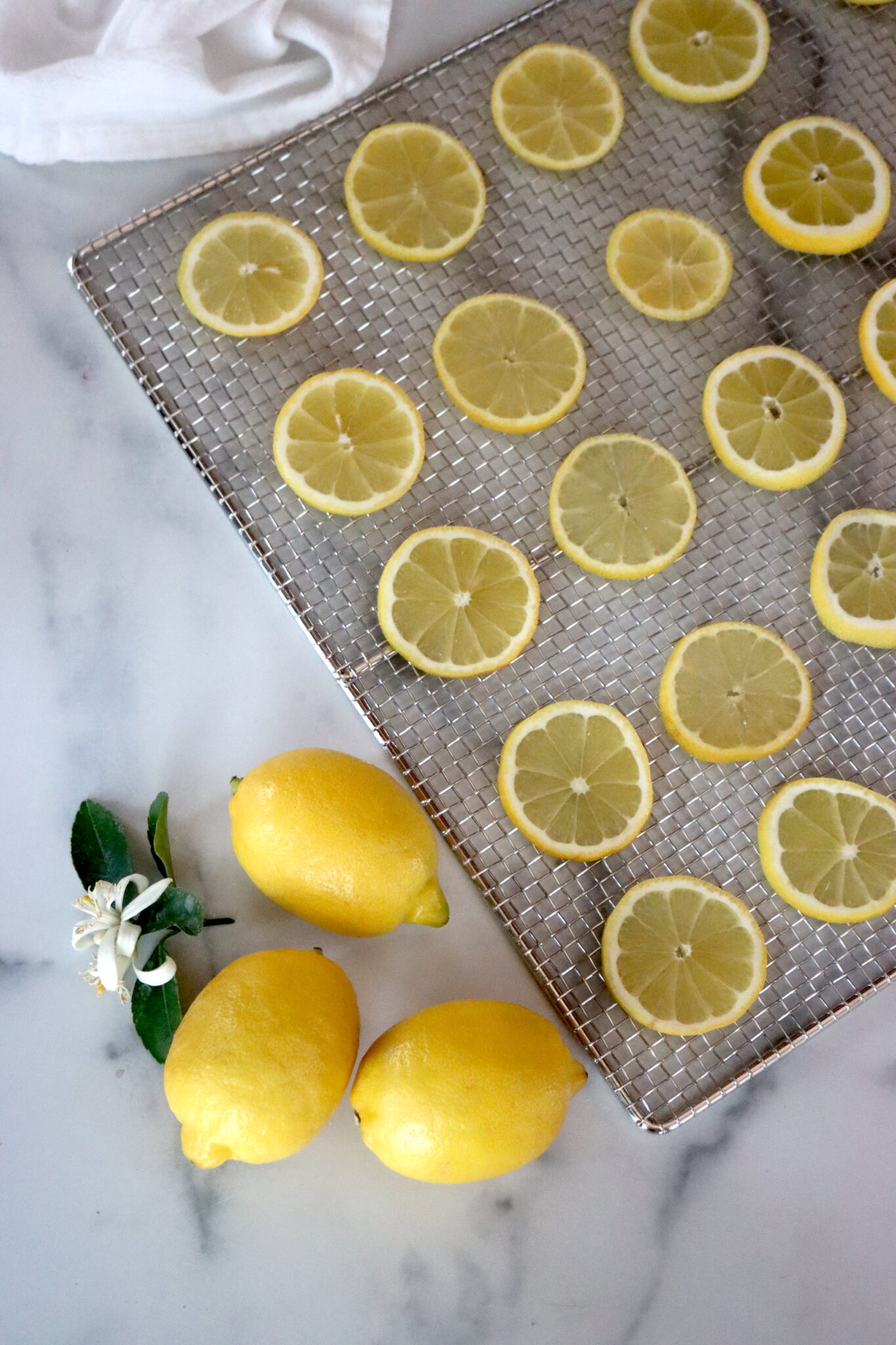 Sliced lemons for Drying