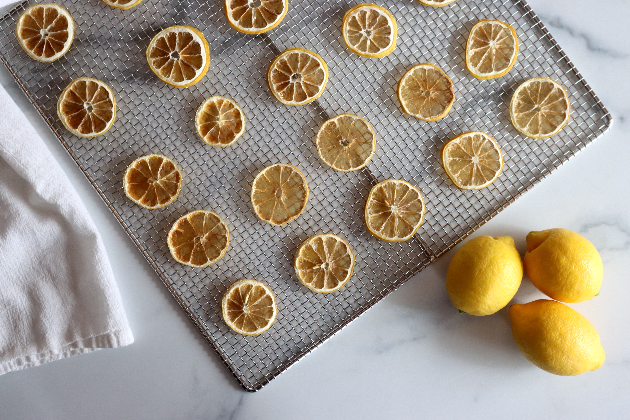 Dehydrating Lemons — Practical Self Reliance