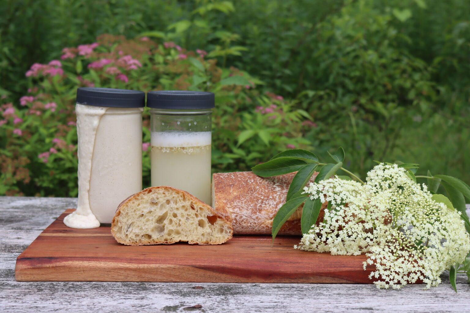 Culturing Wild Yeast for Baking Bread