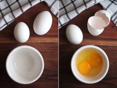 Beginners Guide to Chicken Egg Colors — Practical Self Reliance