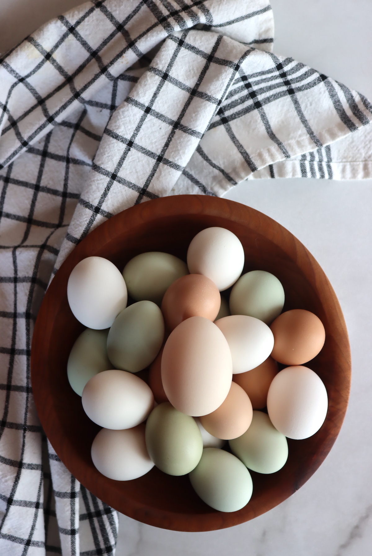 Double Yolk Egg from an Orpington chicken