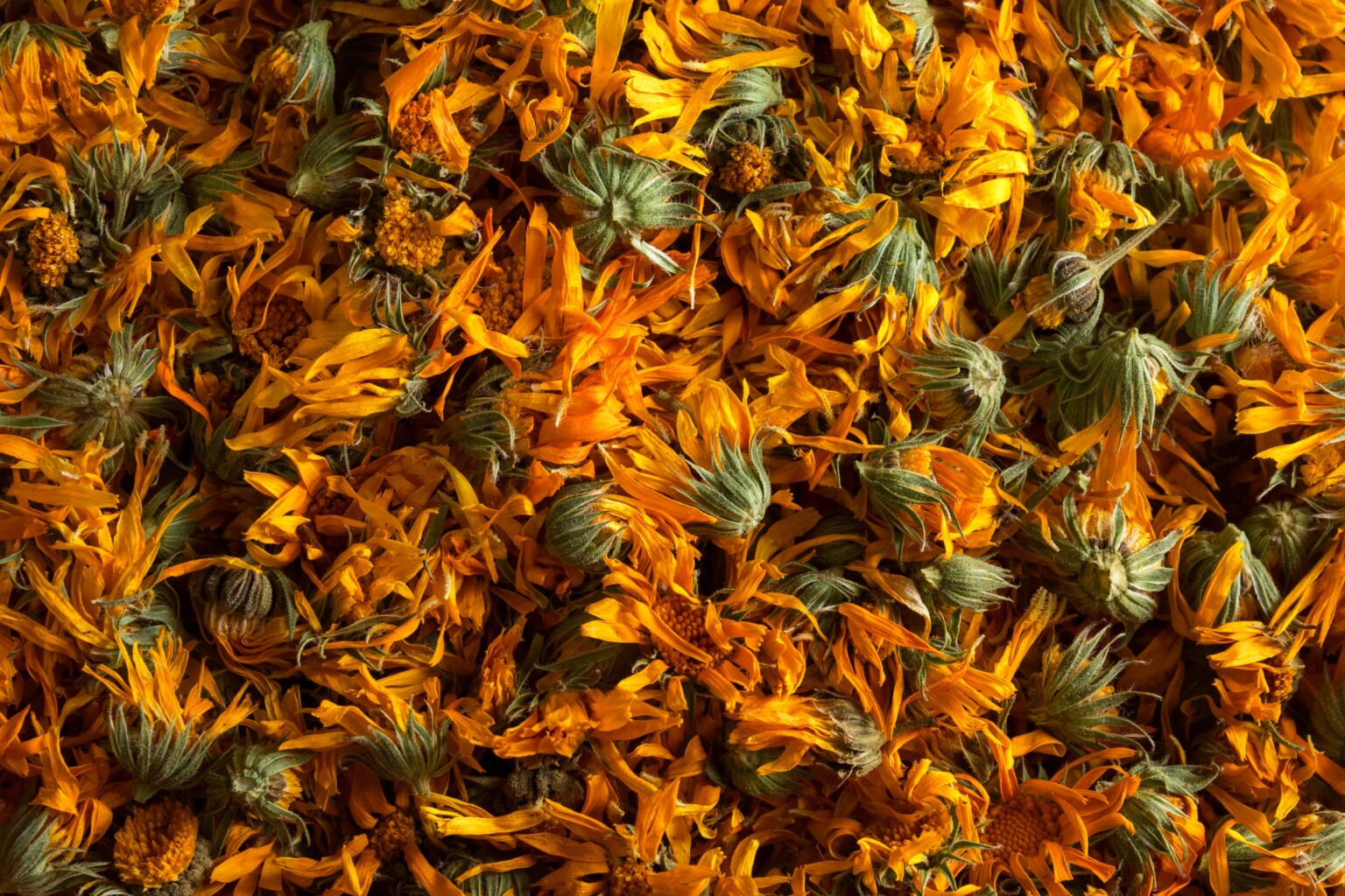 Dried Calendula
