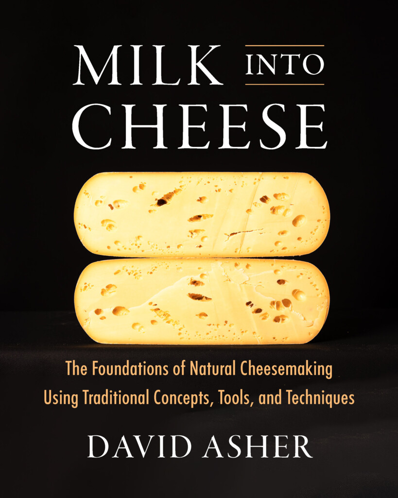 Milk Into Cheese Cover
