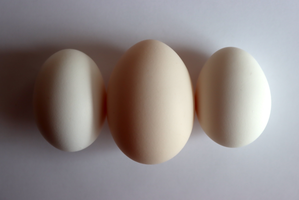 Double yolk egg between two "regular" eggs.  