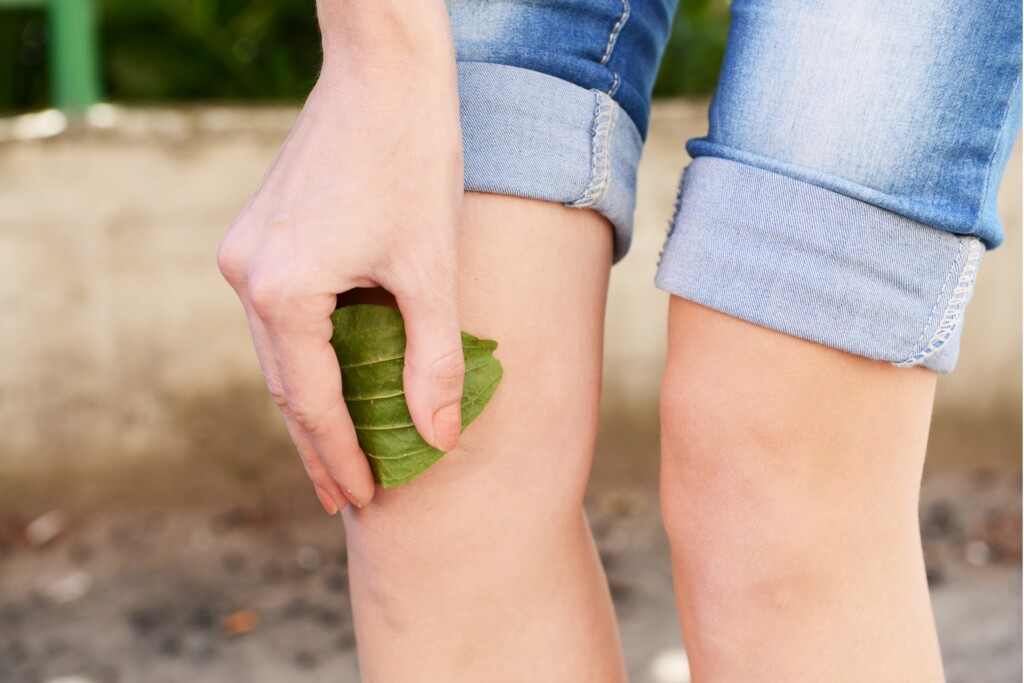Plantain Band Aid