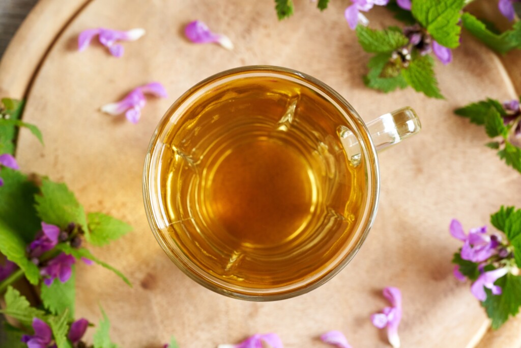 Purple Dead Nettle Tea