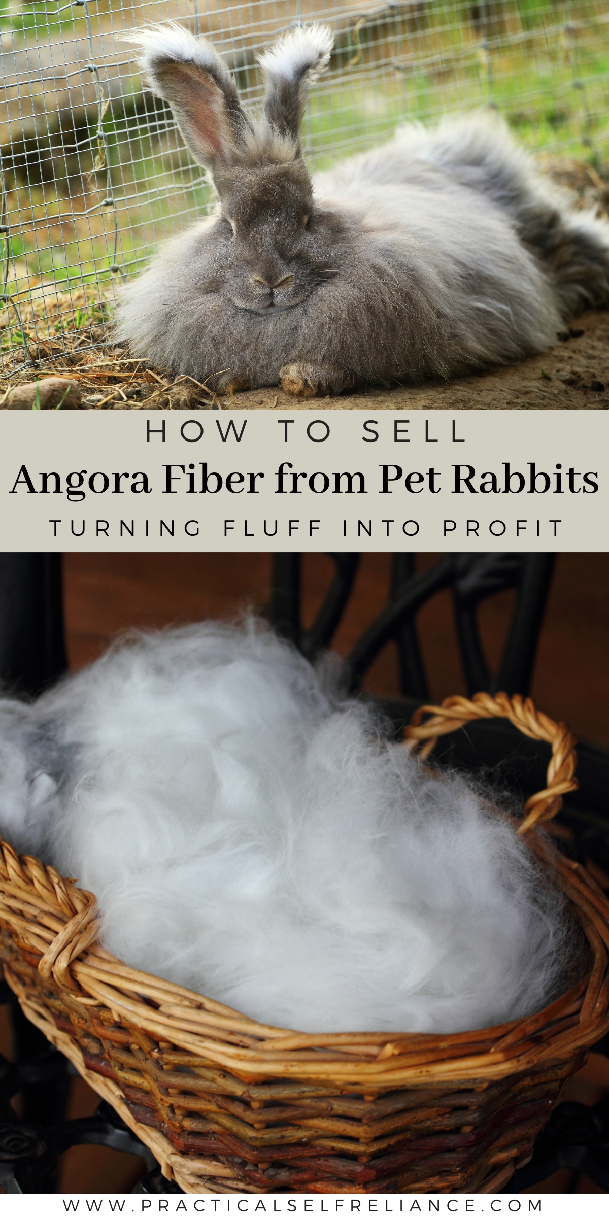 Selling Angora