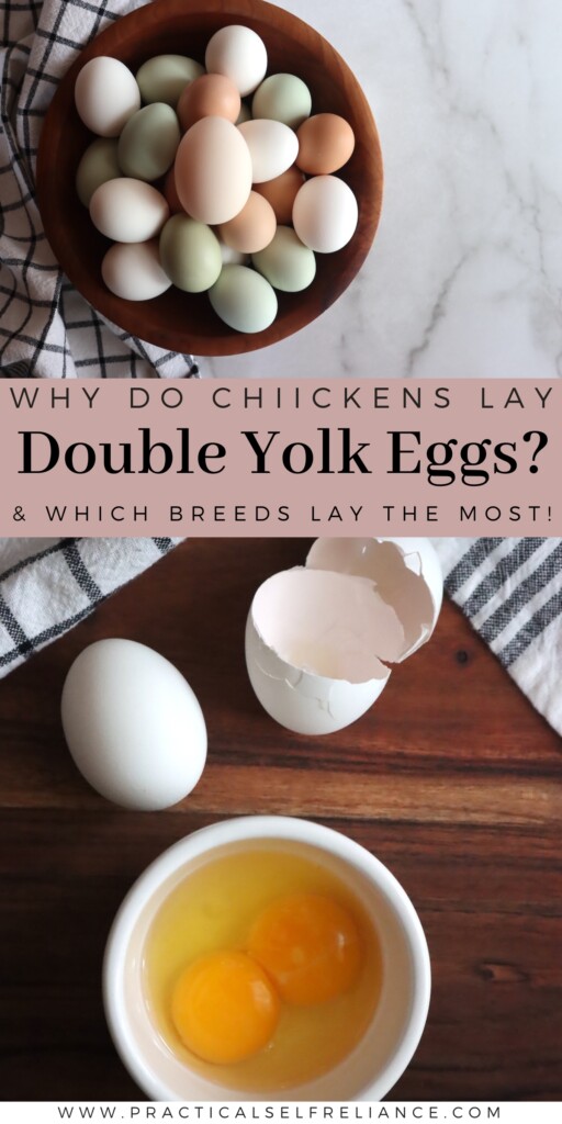 Why Double Yolk Eggs