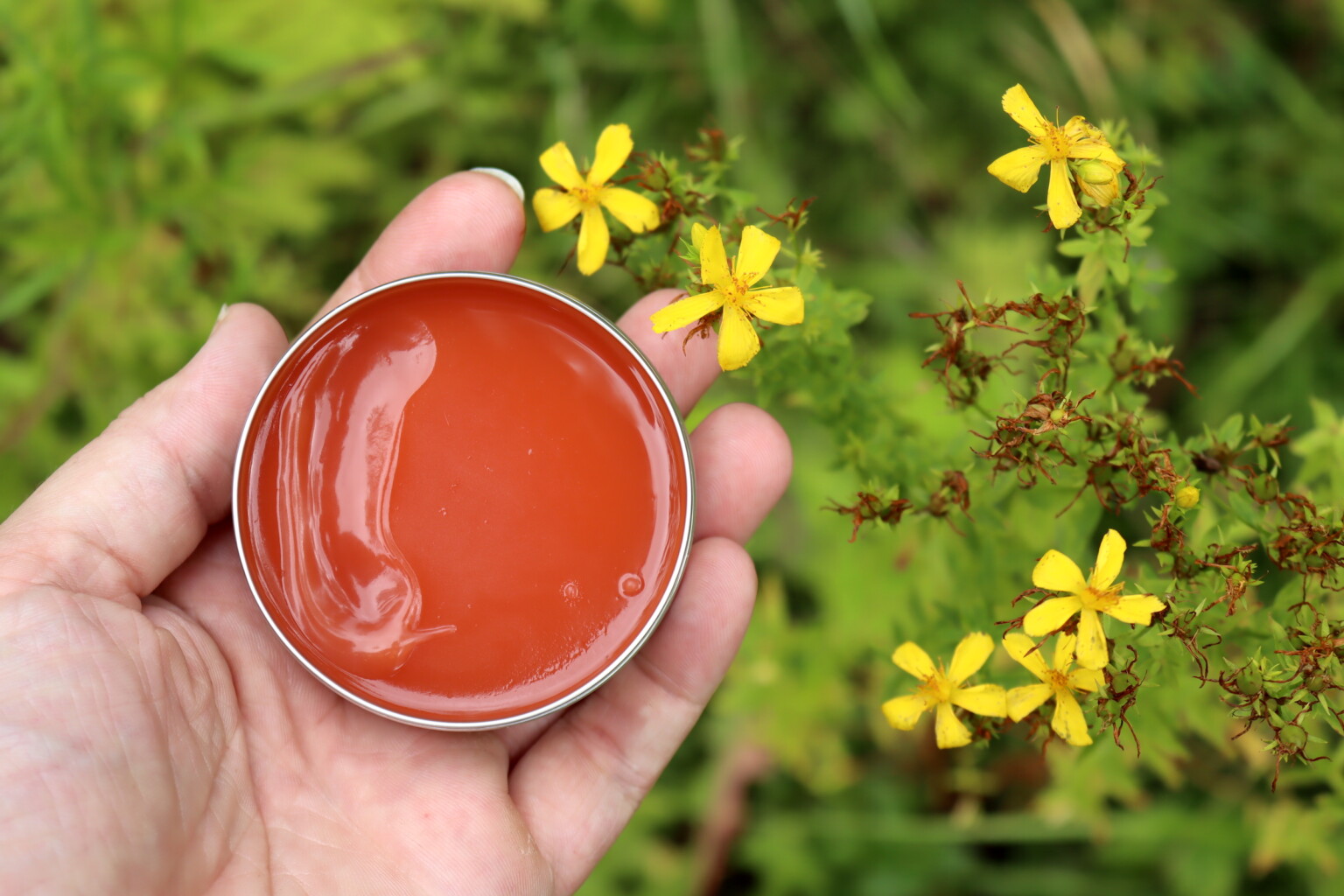 St. Johns Wort Salve