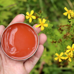 St. Johns Wort Salve