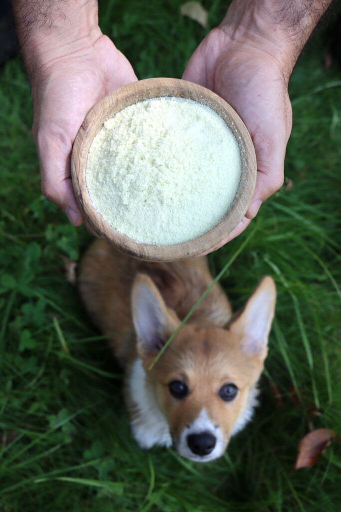 Zucchini Flour