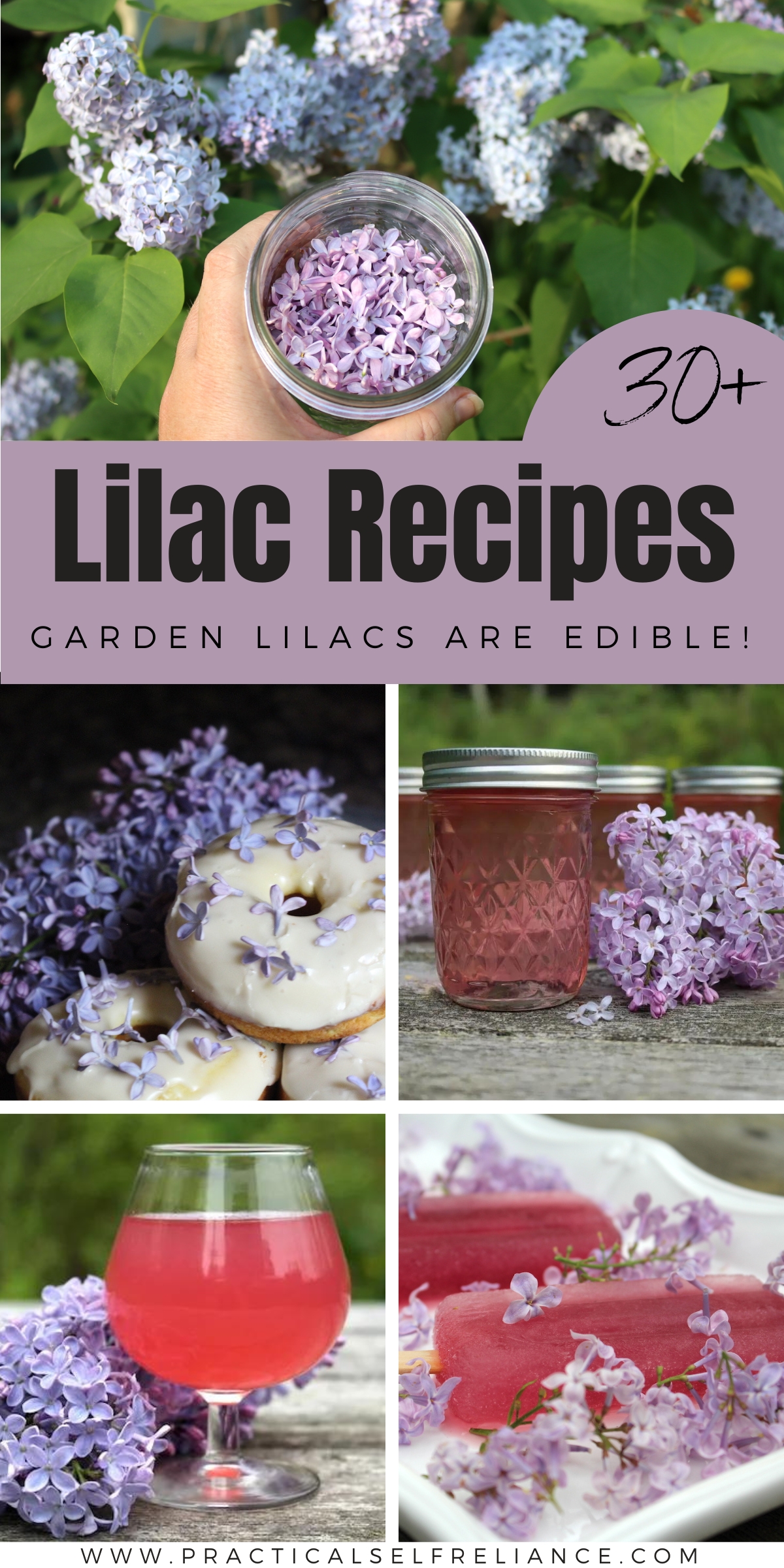 Lilac Recipes List