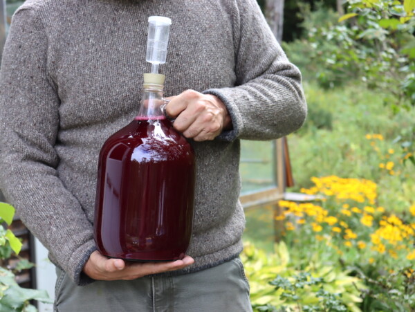 Pyment Grape Mead