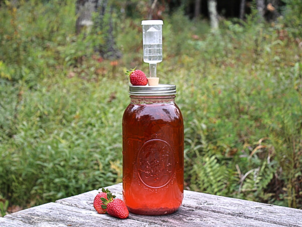 Strawberry Wine Recipe