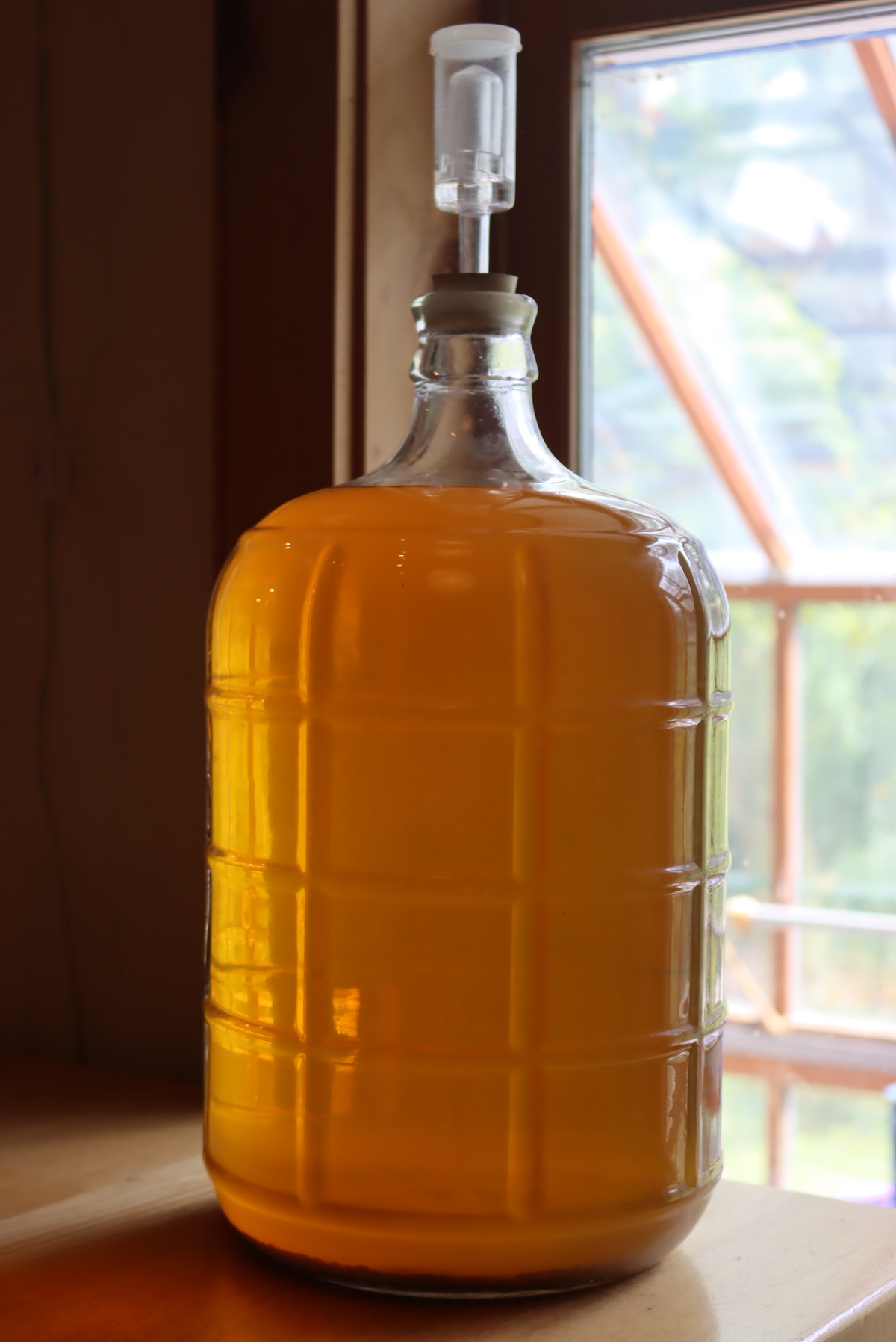A three gallon carboy filled with a pyment (grape mead) made with white wine grapes grown on our land