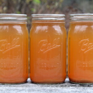 Canning Apple Cider
