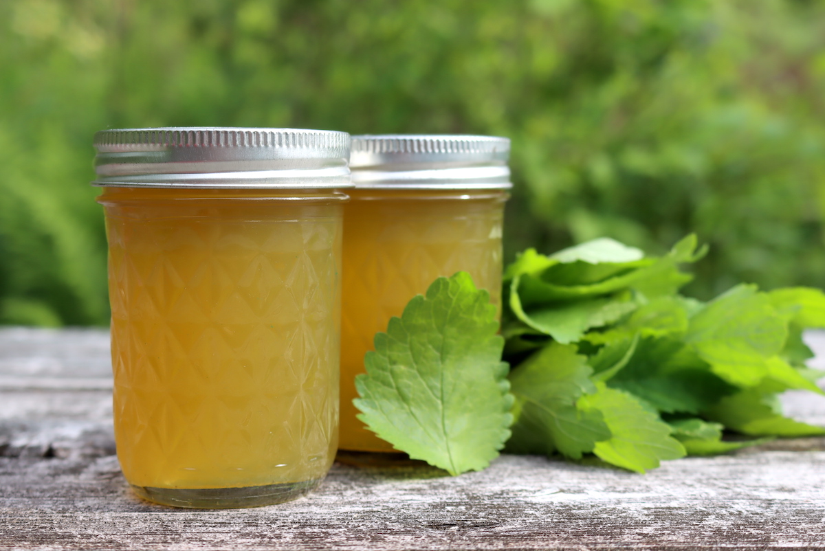 Lemon Balm Jelly
