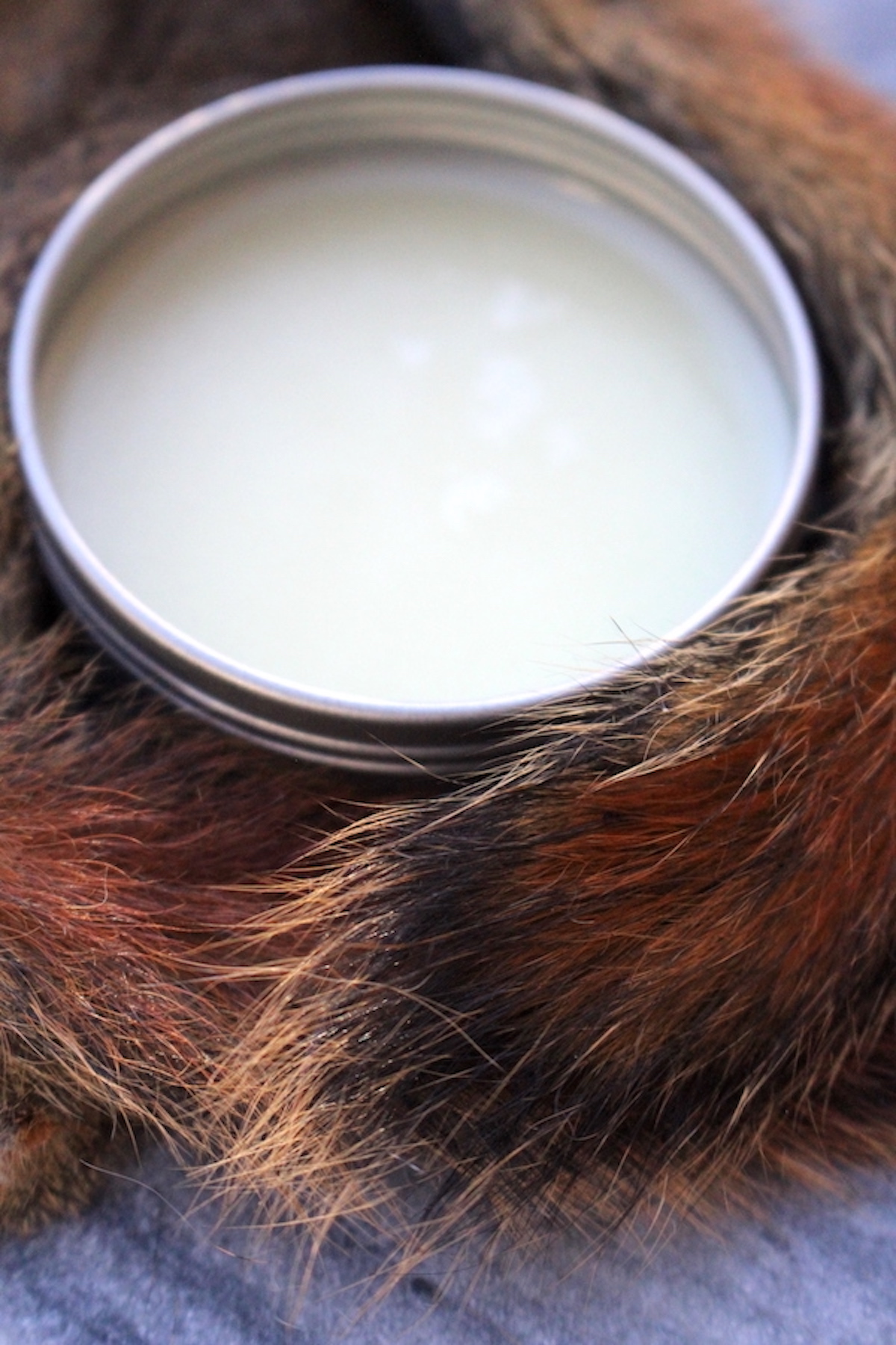 Fatwax or Animal Fat Salve