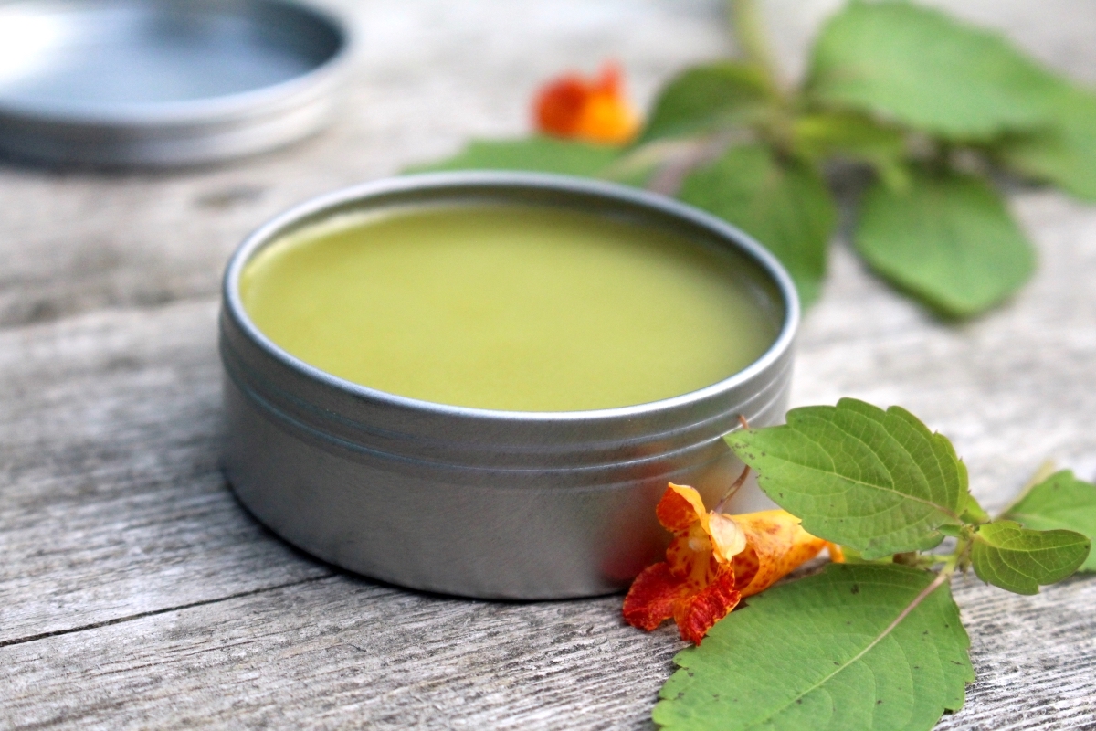 Jewelweed Salve