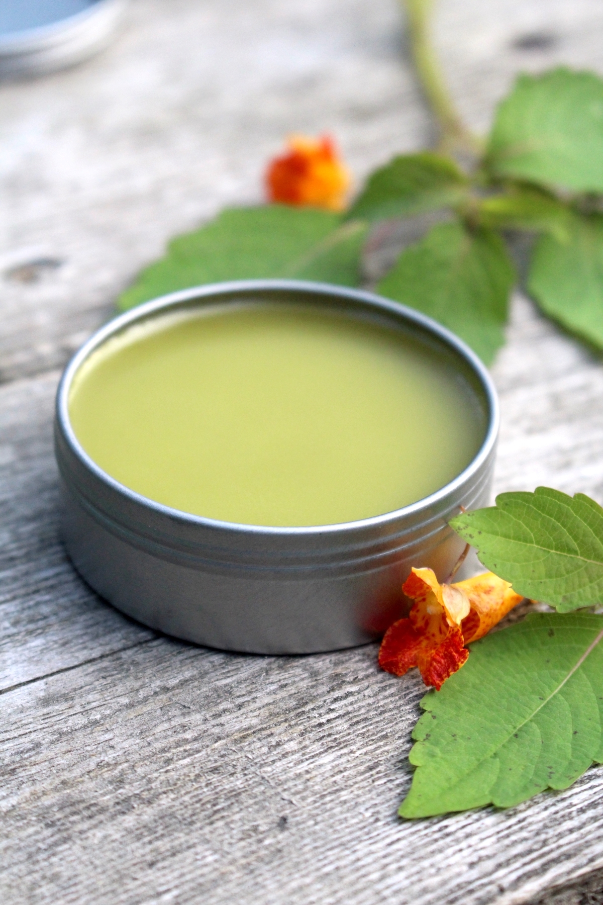 Jewelweed Salve