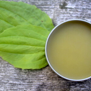 Plantain Salve