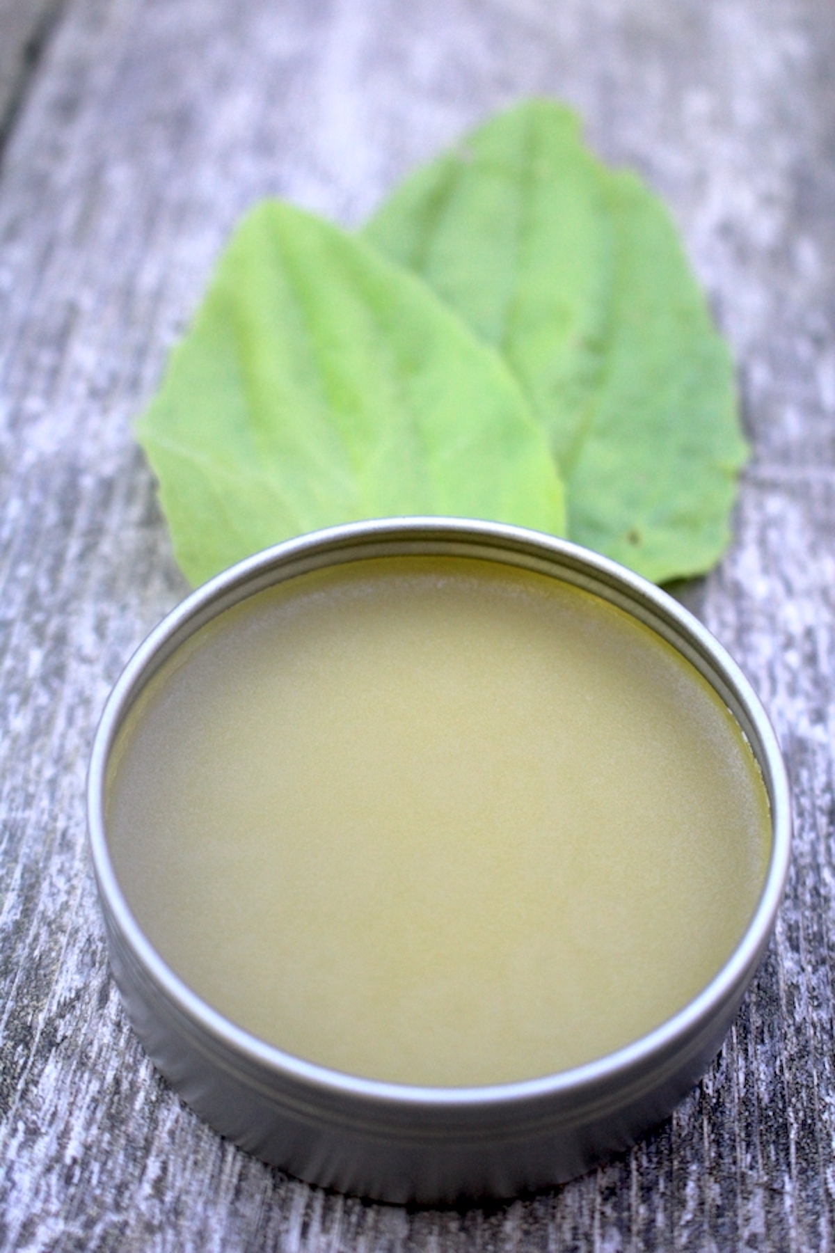 Plantain Salve Recipe