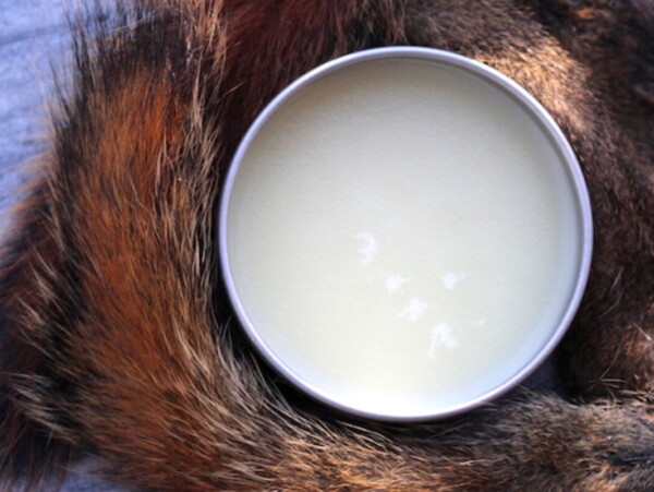 Fatwax or Animal Fat Salve