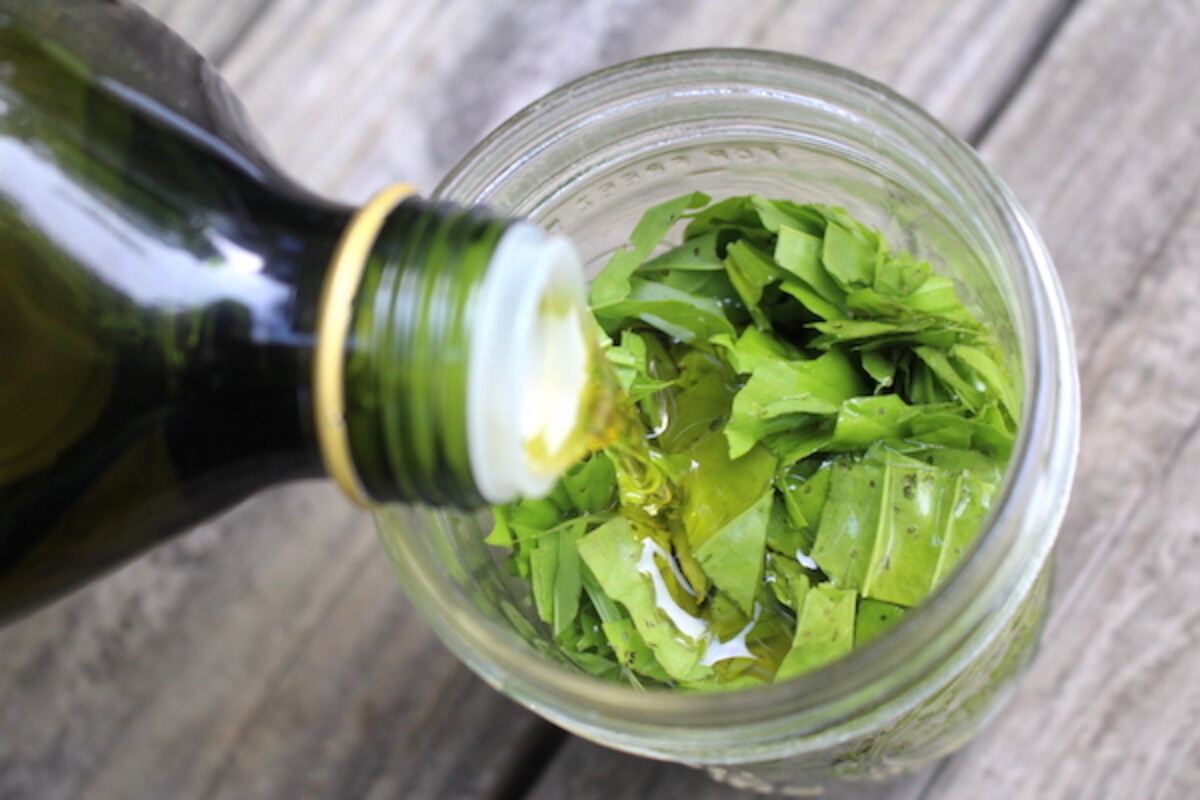 Making Plantain Infused Oil
