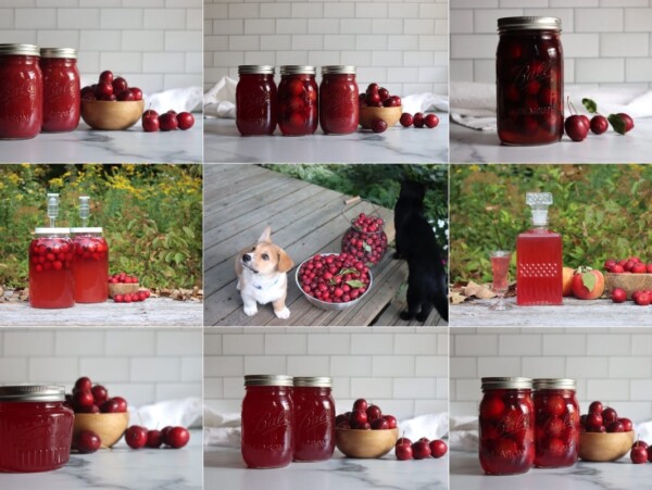 Crabapple Recipes
