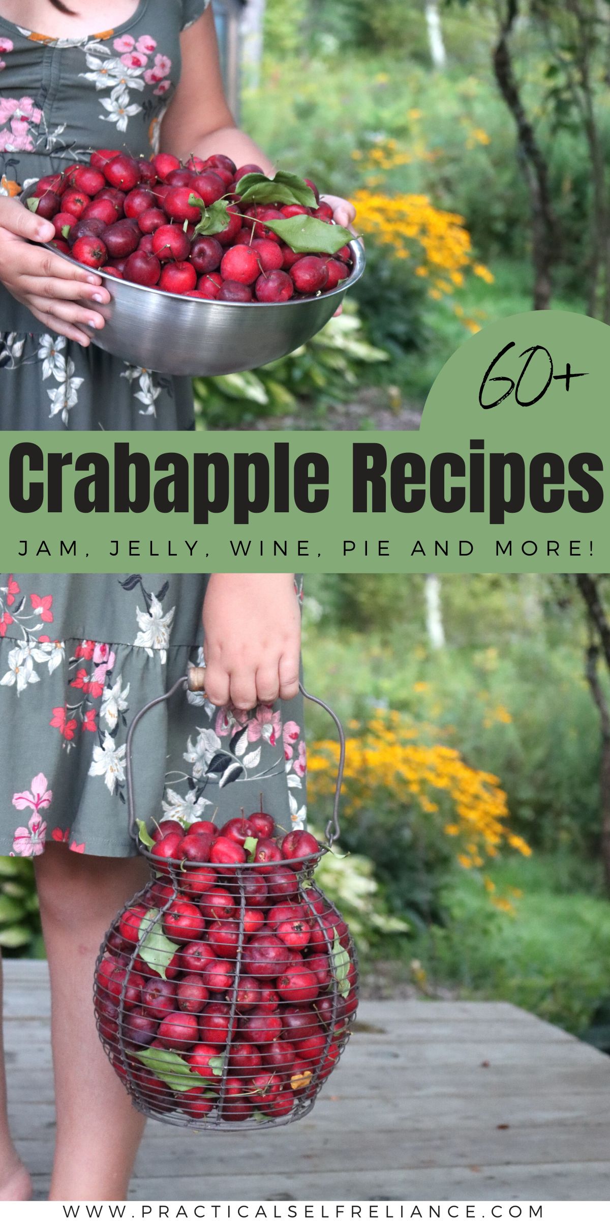 Crabapple Recipes List