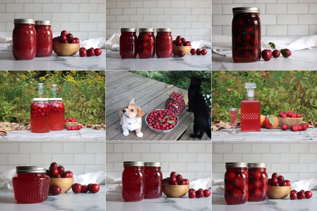 Crabapple Recipes