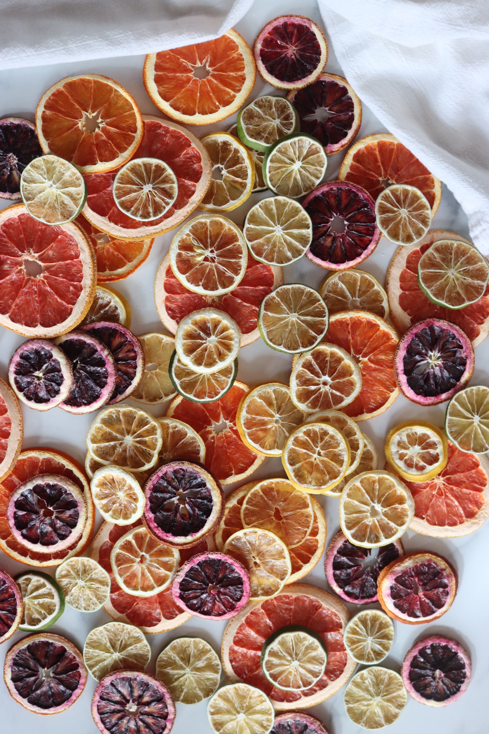 Colorful Dehydrated Citrus